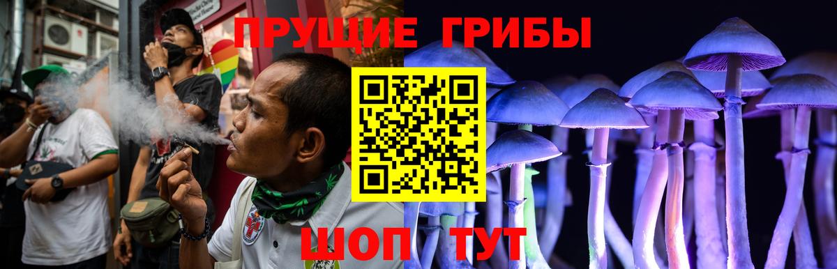 Торжок  Галлюциногенные грибы мухоморы  Вход с VPN 